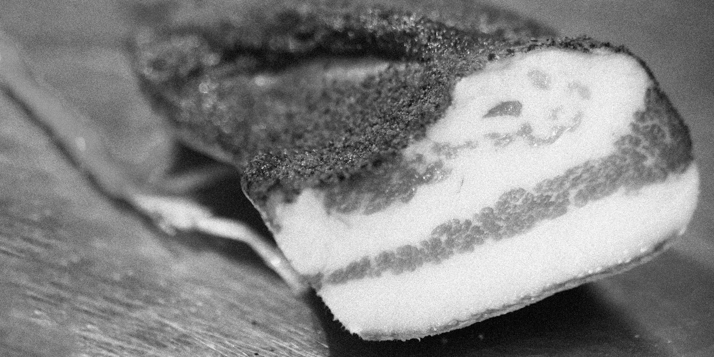lard italien rugantino
